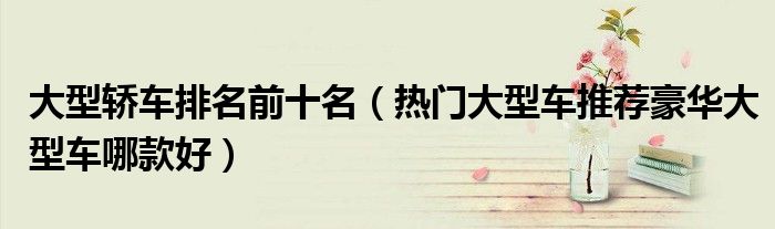 大型轿车排名前十名(热门大型车推荐豪华大型车哪款好)