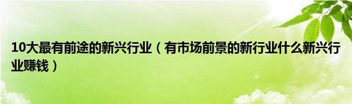 10大最有前途的新兴行业(有市场前景的新行业什么新兴行业赚钱)