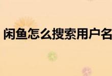 闲鱼怎么搜索用户名字（闲鱼怎么搜索用户）
