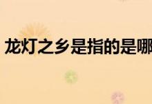 龙灯之乡是指的是哪里（龙灯之乡是指哪里）