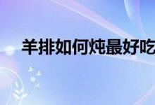 羊排如何炖最好吃（羊排怎么炖最好吃）