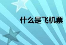 什么是飞机票（什么是飞机引擎）