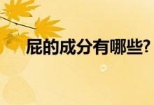 屁的成分有哪些?（屁的成分包括什么）