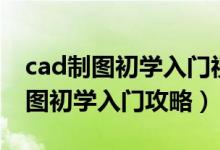 cad制图初学入门视频教程全集免费（cad制图初学入门攻略）