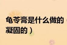 龟苓膏是什么做的（龟苓膏是什么做的是怎么凝固的）