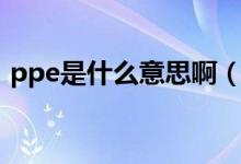 ppe是什么意思啊（个人ppe是什么意思啊）