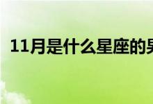 11月是什么星座的男性（11月是什么星座）