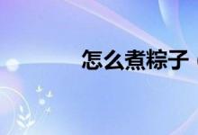 怎么煮粽子（煮粽子怎么煮）