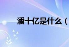 潘十亿是什么（潘十亿是什么意思）
