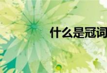 什么是冠词（冠词是什么）