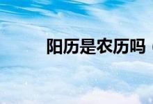 阳历是农历吗（阳历是指农历吗）