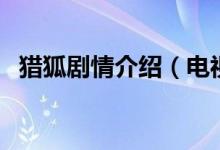 猎狐剧情介绍（电视剧猎狐讲述的是什么）
