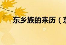 东乡族的来历（东乡族的来源是什么）