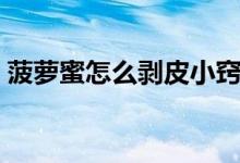 菠萝蜜怎么剥皮小窍门（如何完美剥菠萝蜜）