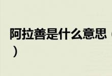 阿拉善是什么意思（蒙古语阿拉善是什么意思）