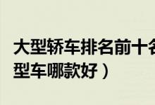 大型轿车排名前十名（热门大型车推荐豪华大型车哪款好）