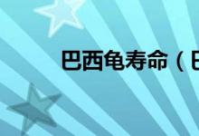 巴西龟寿命（巴西龟可以活多久）