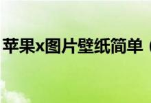苹果x图片壁纸简单（苹果X图片壁纸的尺寸）
