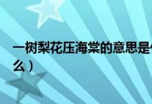 一树梨花压海棠的意思是什么（一朵梨花压海棠的意思是什么）