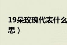 19朵玫瑰代表什么意思（19朵玫瑰代表的意思）