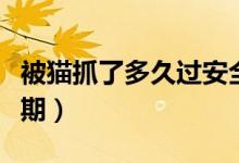 被猫抓了多久过安全期（被猫抓了多久过危险期）