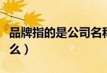 品牌指的是公司名称还是别的（品牌指的是什么）