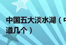 中国五大淡水湖（中国最为著名的淡水湖你知道几个）