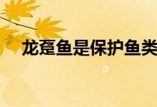 龙趸鱼是保护鱼类吗（龙趸鱼是什么鱼）