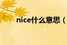 nice什么意思（nice的意思是什么）
