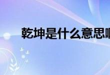 乾坤是什么意思啊（乾坤是什么意思）