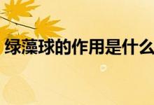 绿藻球的作用是什么（绿藻球的作用是什么）