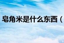 皂角米是什么东西（皂角米指的是什么东西）