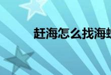 赶海怎么找海螺（赶海怎样抓虾）