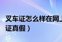 叉车证怎么样在网上查询真假（如何查询叉车证真假）