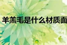 羊羔毛是什么材质面料（羊羔毛是什么材料）