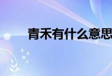 青禾有什么意思（青禾有什么寓意）