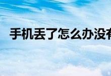 手机丢了怎么办没有卡（手机丢了怎么办）