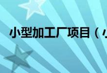 小型加工厂项目（小型加工厂项目有哪些）