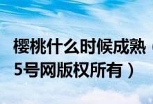 樱桃什么时候成熟（樱桃是几月份的水果及及5号网版权所有）