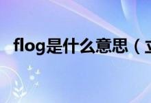 flog是什么意思（立一个flog是什么意思）