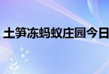 土笋冻蚂蚁庄园今日答案（土笋冻蚂蚁庄园）