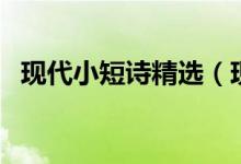 现代小短诗精选（现代小短诗精选有哪些）