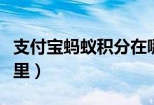 支付宝蚂蚁积分在哪里（支付宝蚂蚁积分在哪里）