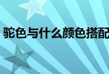 驼色与什么颜色搭配（驼色与什么颜色搭配）