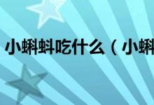 小蝌蚪吃什么（小蝌蚪吃什么食物才会长大）