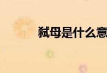 弑母是什么意思（弑母的意思）