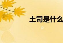 土司是什么（什么是土司）