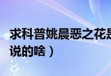 求科普姚晨恶之花是啥（求科普姚晨恶之花是说的啥）
