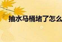 抽水马桶堵了怎么办（马桶堵了怎么办）