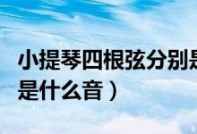 小提琴四根弦分别是什么（小提琴四根弦分别是什么音）